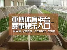 环境展示五