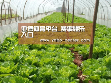 种植基地五