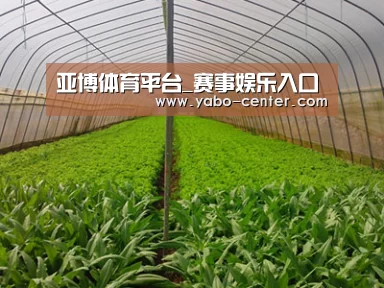种植基地四