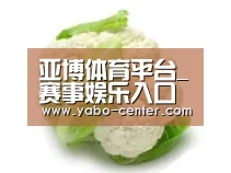 产品名称九