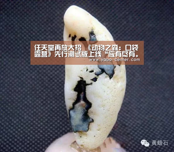 任天堂再放大招 《动物之森:口袋露营》先行测试版上线“应有尽有。新用户注册即送丰厚彩金”(图2) 亚博体育