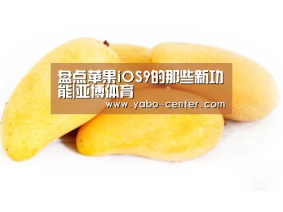 节假日还有额外礼包和福利活动
